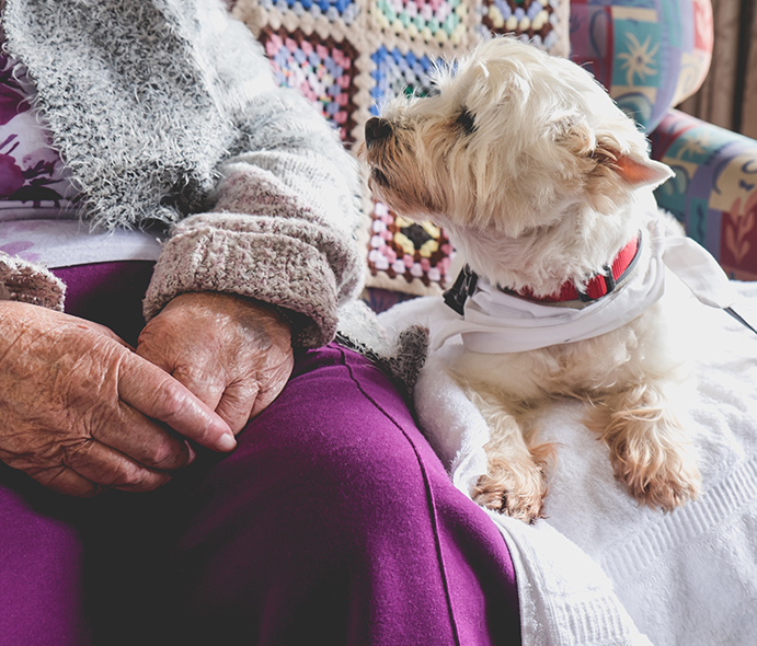 Dog with old women-alt